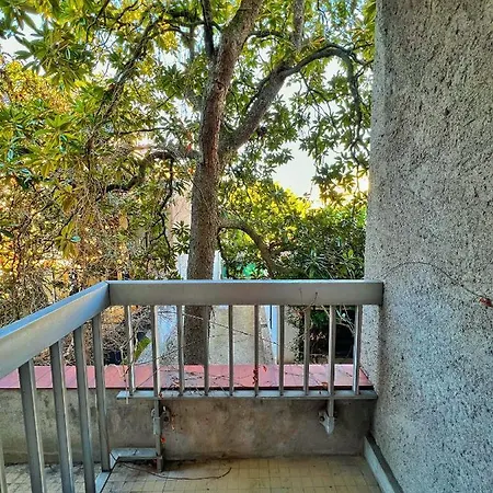 Le Pop Art - Jardin Des Plantes - Centre