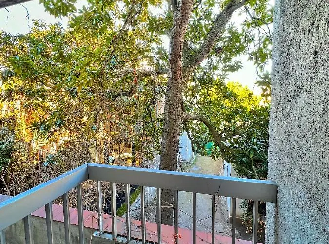 Appartement Le Pop Art - Jardin Des Plantes - Centre Toulouse