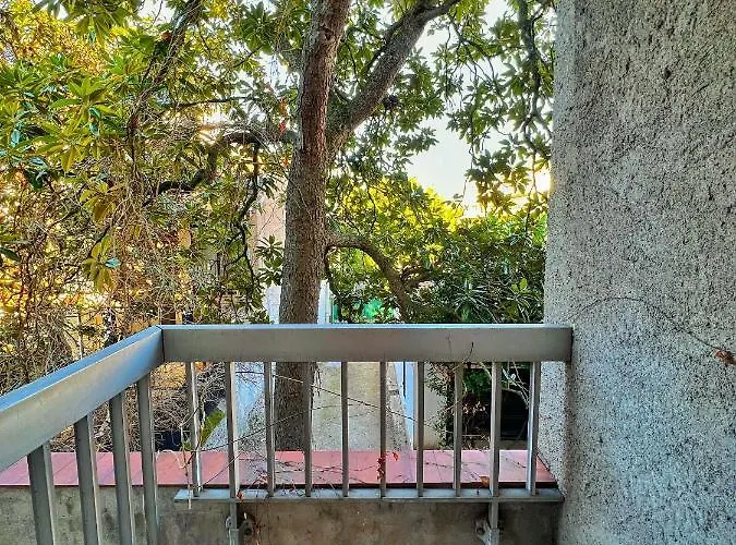 Le Pop Art - Jardin Des Plantes - Centre